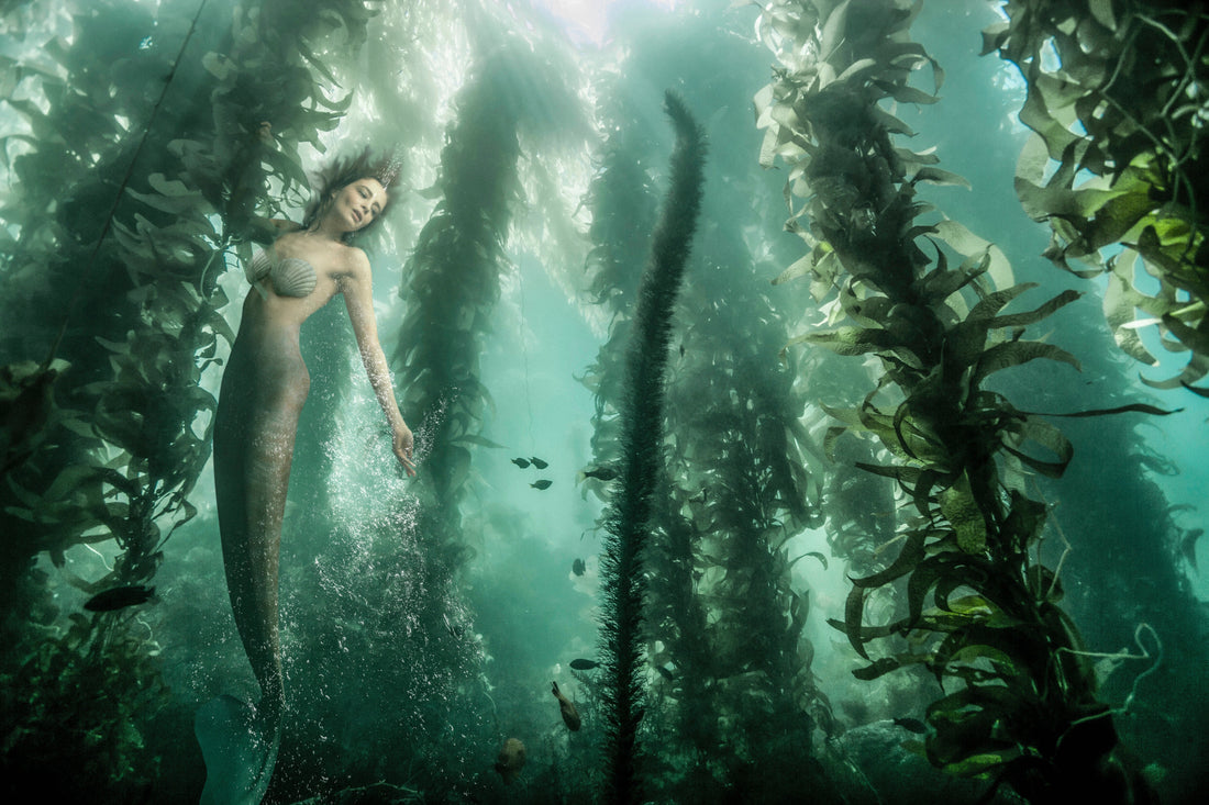 The Use Of Jungian Archetypes In Strange Fish - miltonschorr.com