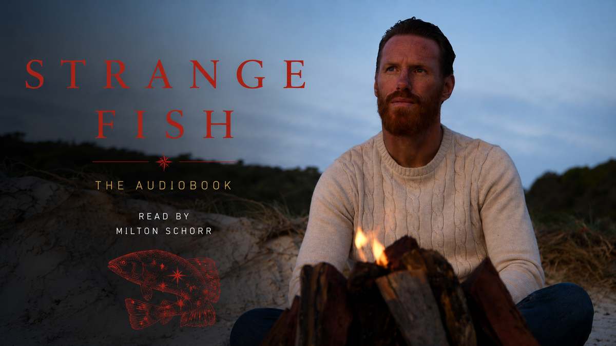 Strange Fish audiobook visualiser